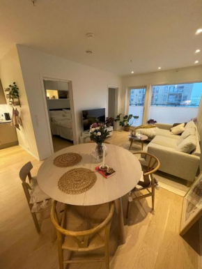 Modern apartment nearby city centrum
